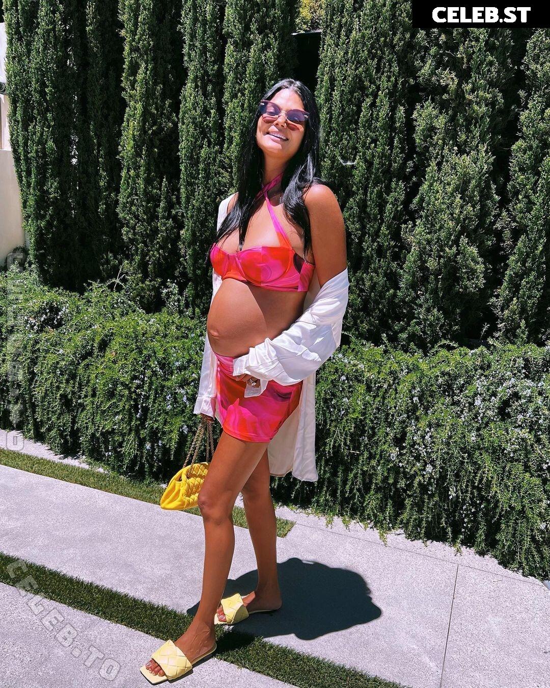 Pregnant Image 27170961