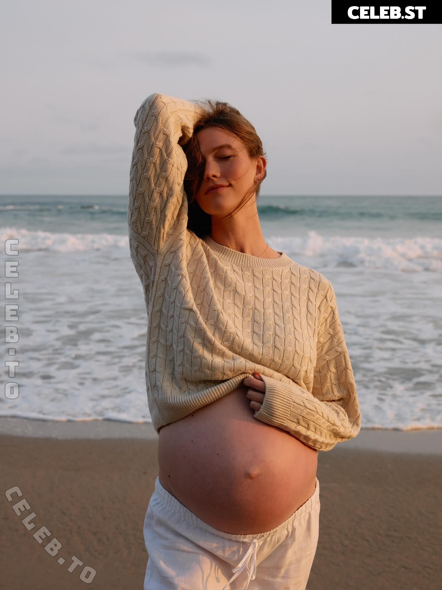 Pregnant Image 27170944