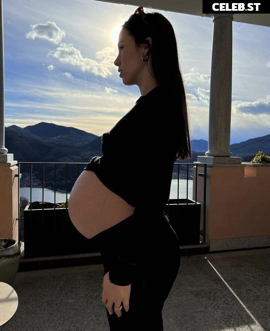 Pregnant Image 27170800