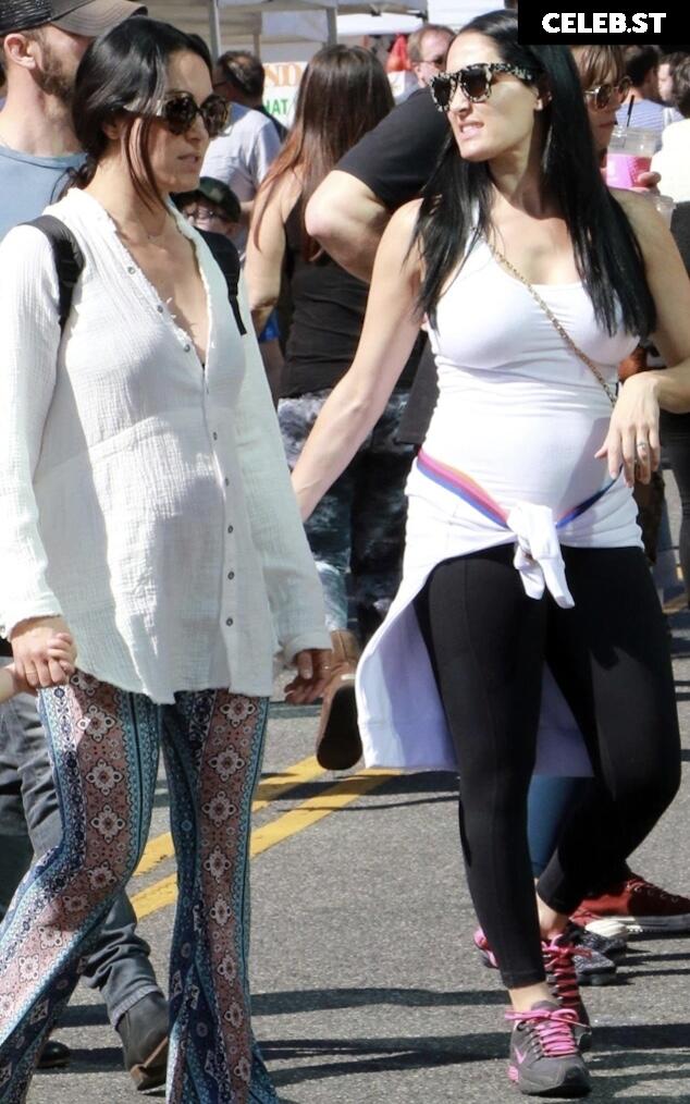 Pregnant Image 27170860