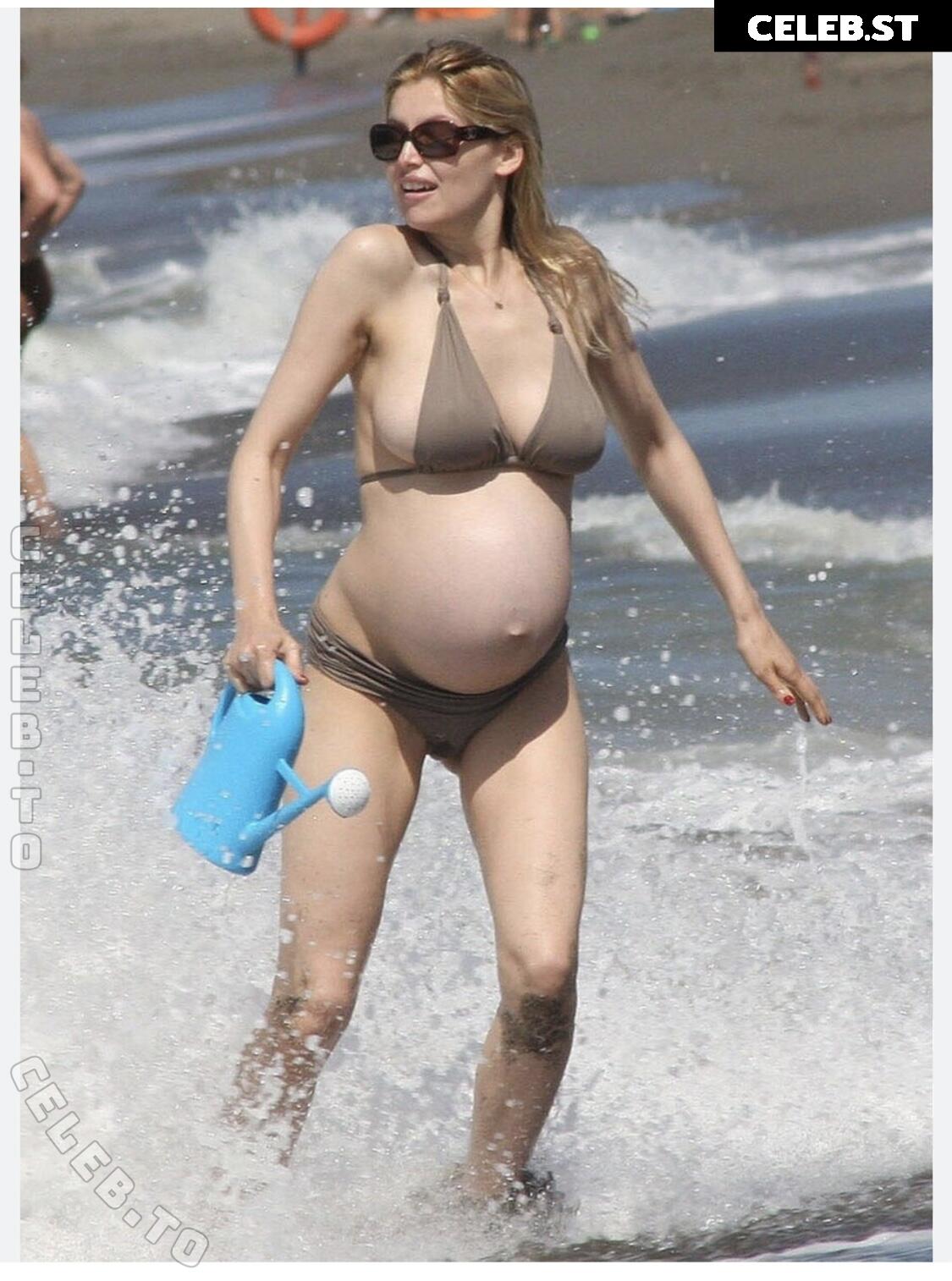Pregnant Image 27170871