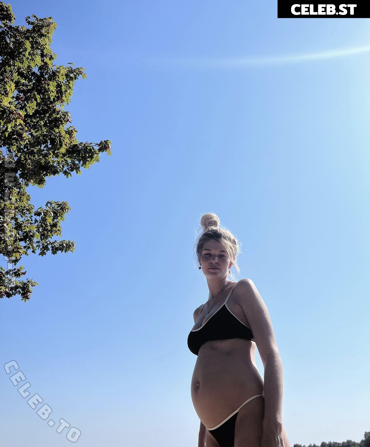 Pregnant Image 27170520