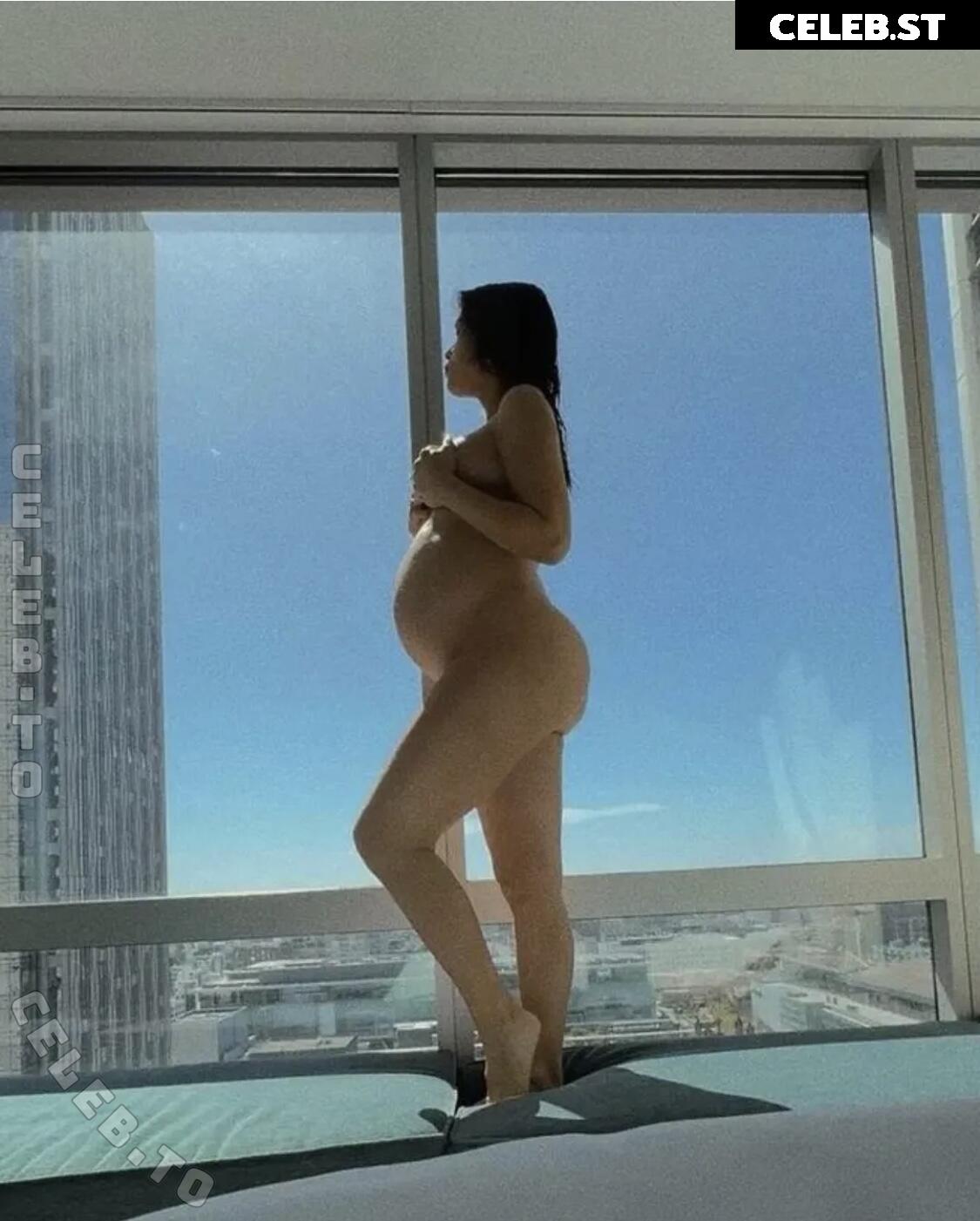 Pregnant Image 27170412