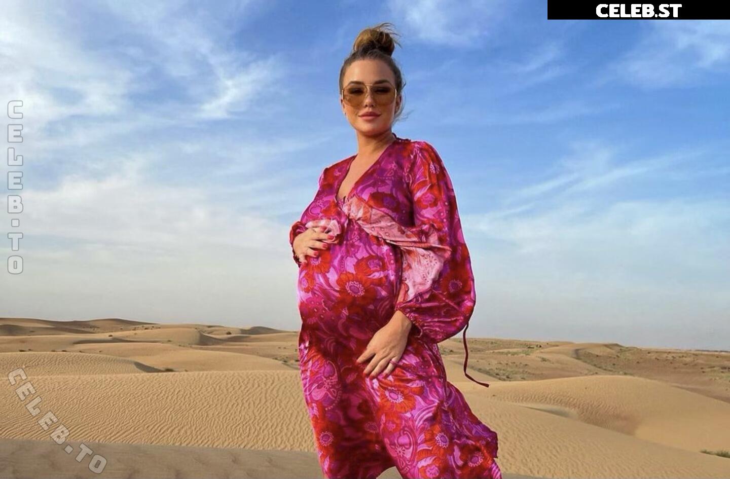 Pregnant Image 27170419