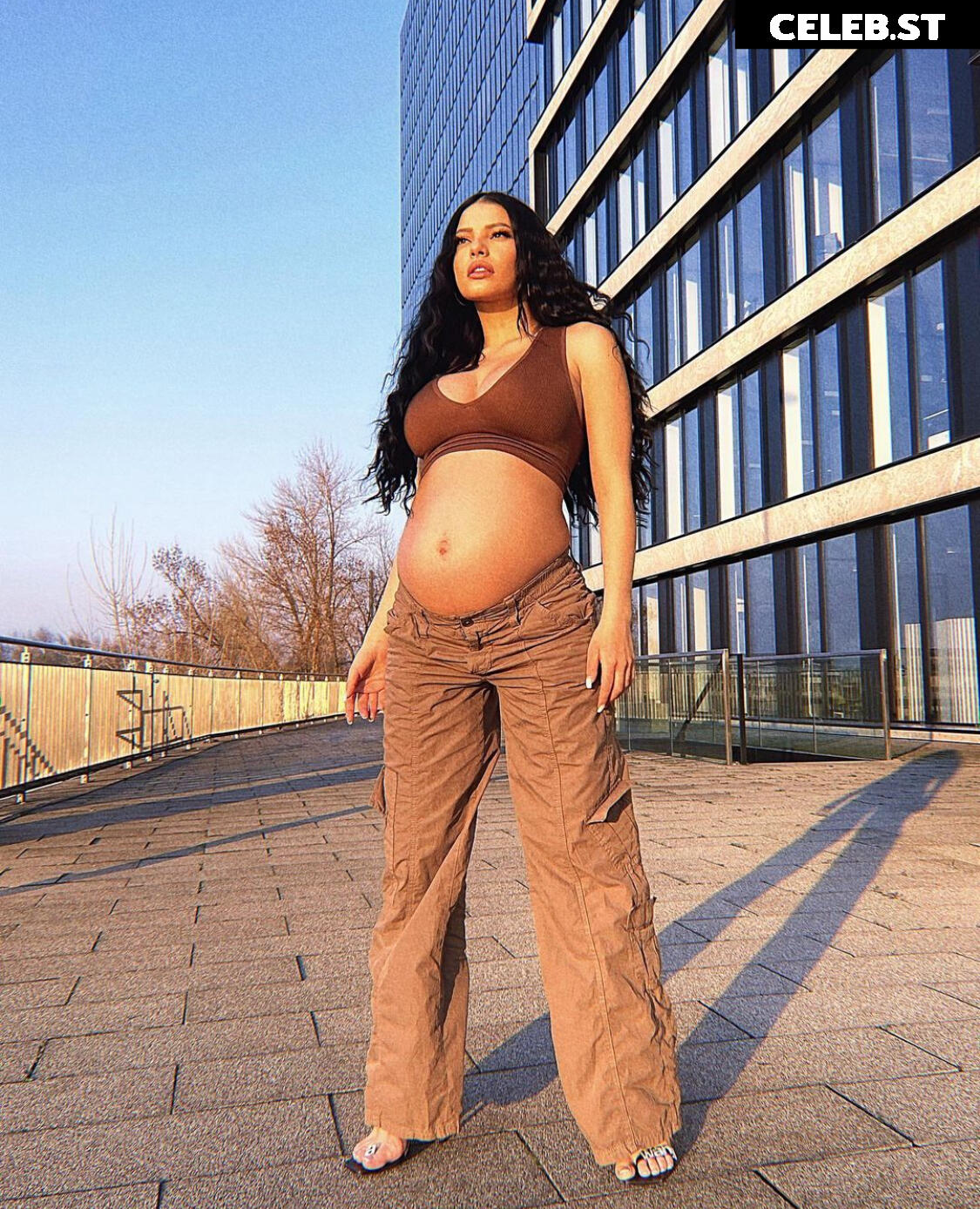 Pregnant Image 27170086
