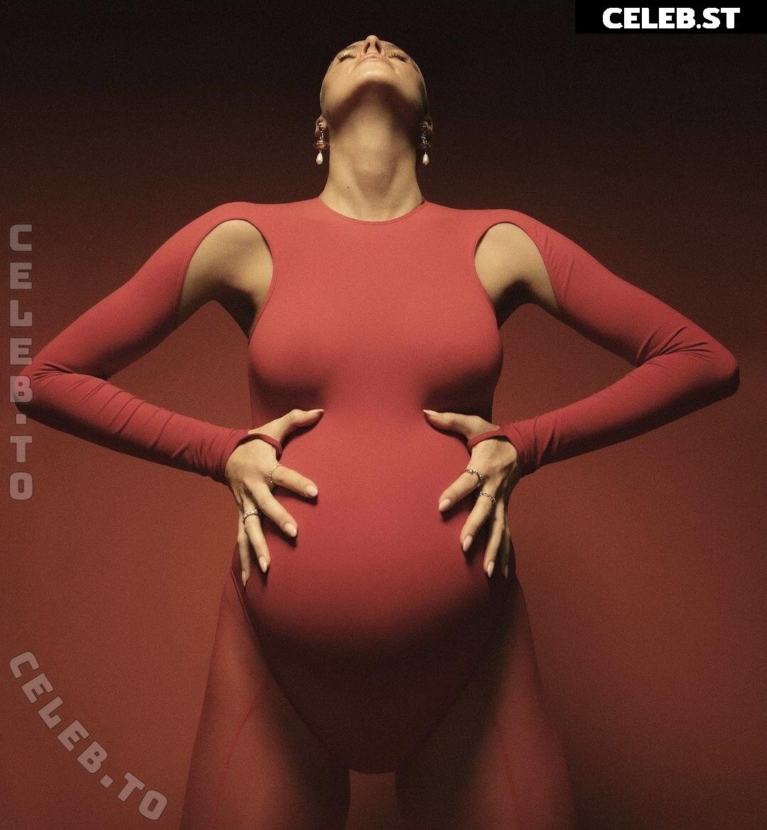 Pregnant Image 27170033
