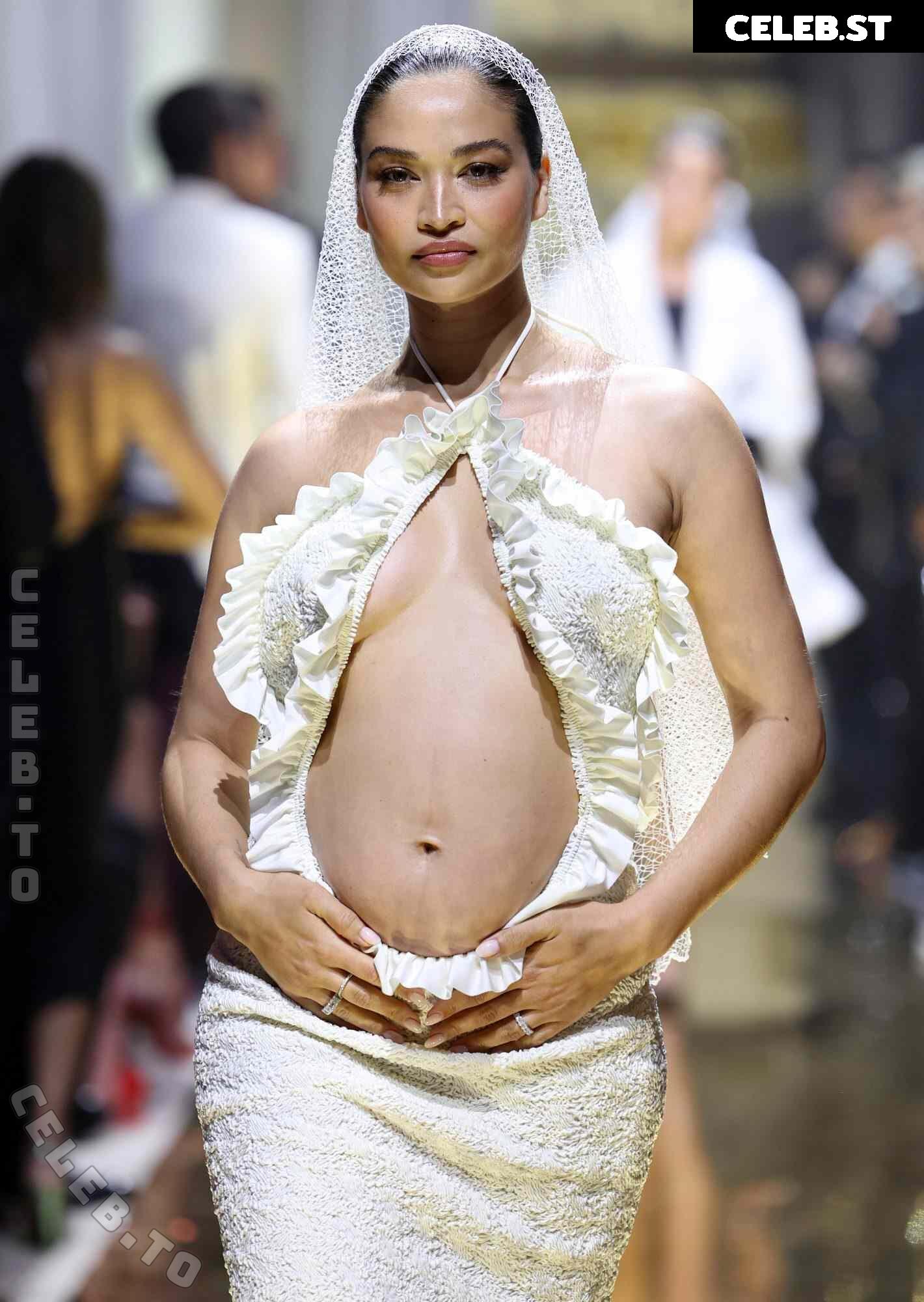 Pregnant Image 27170035