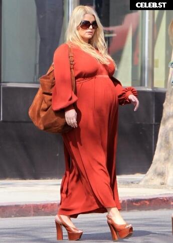 Pregnant Image 27170337