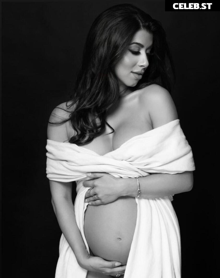 Pregnant Image 27170336