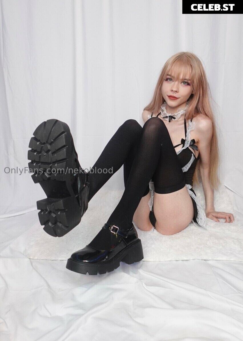 Nekoblood Image 2717340