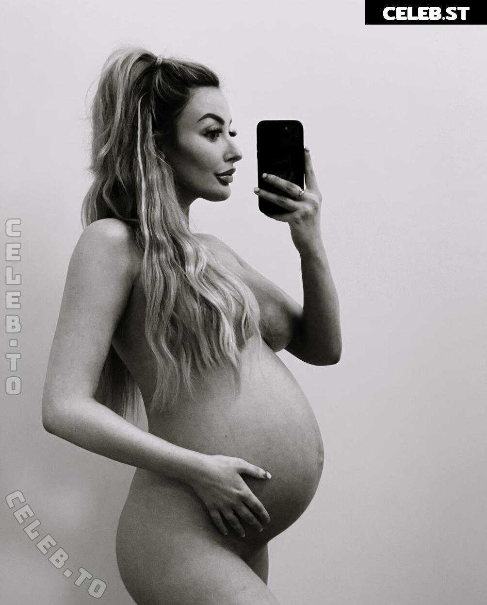 Pregnant Image 27172432