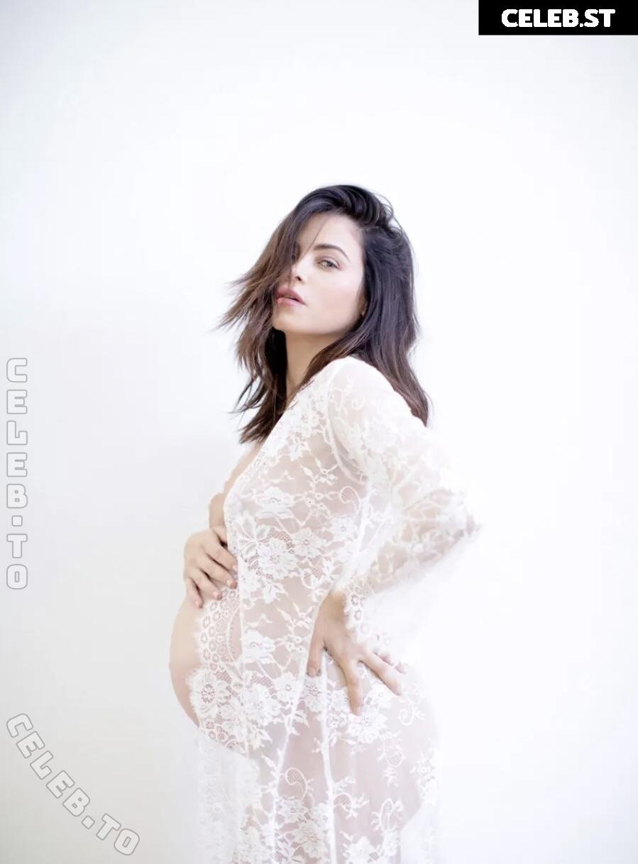Pregnant Image 27172463