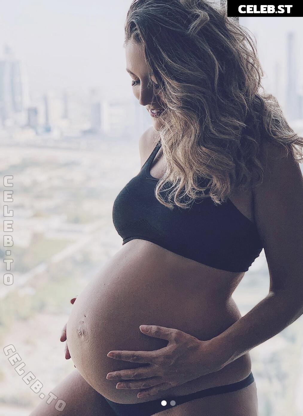 Pregnant Image 27172441