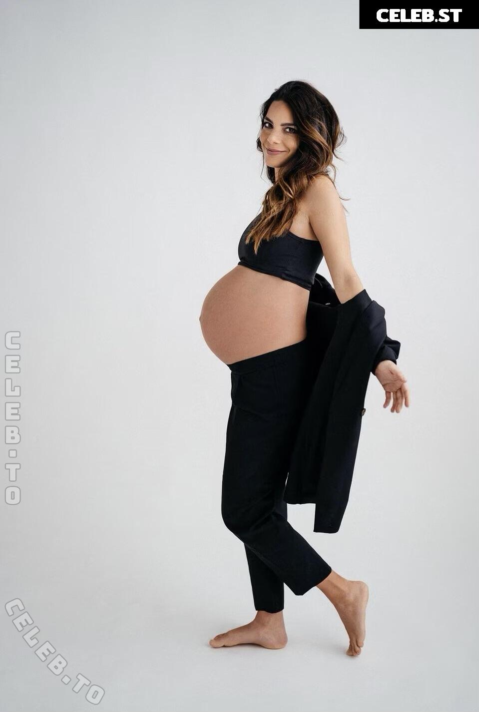 Pregnant Image 27172712