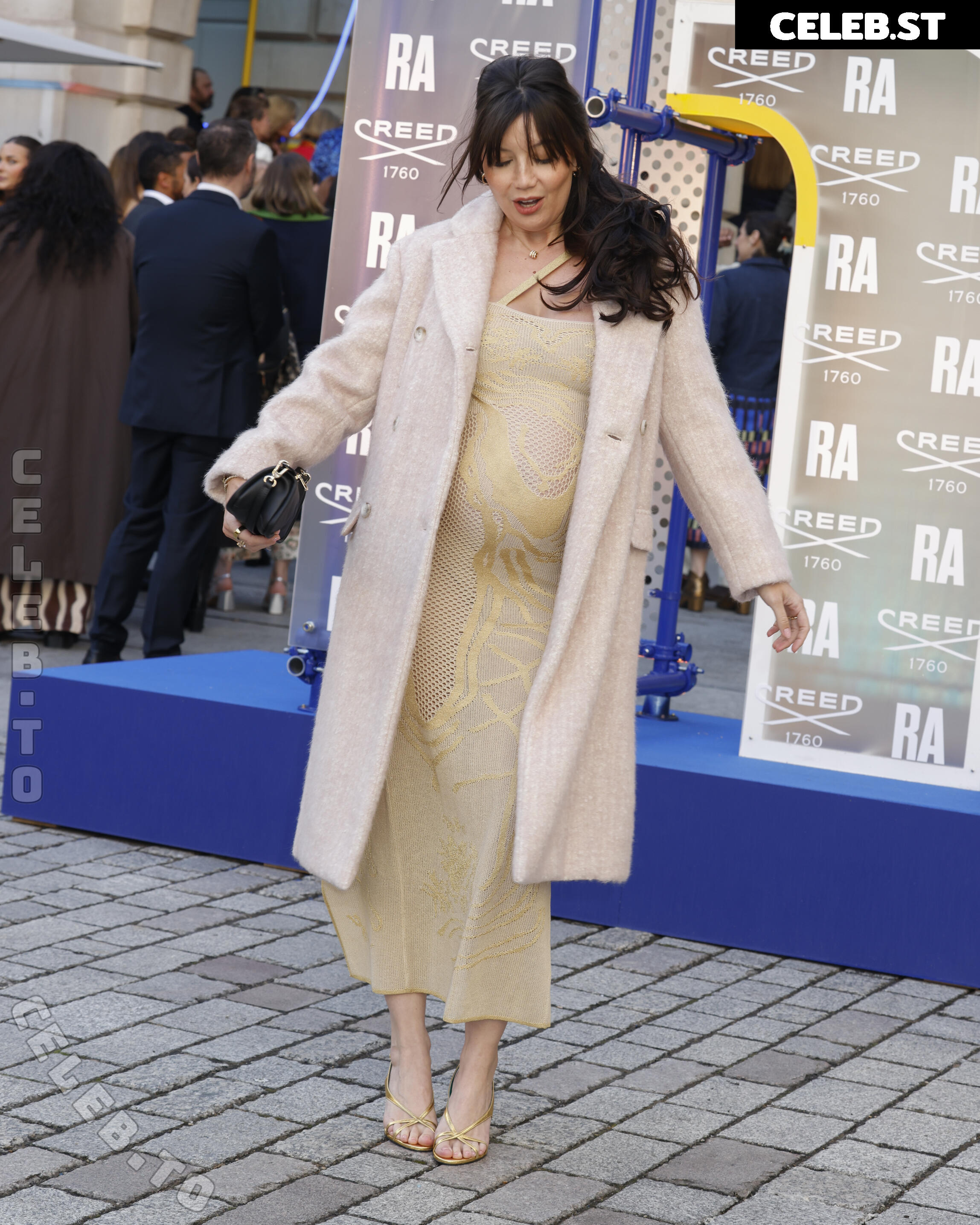 Pregnant Image 27172701