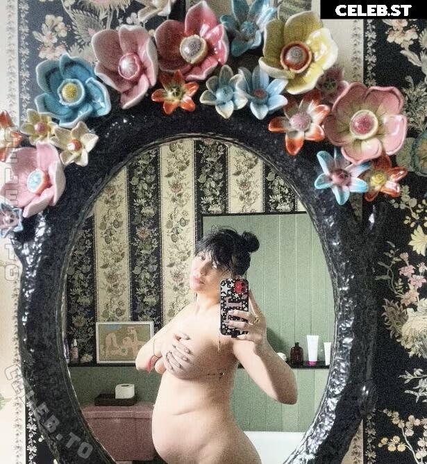 Pregnant Image 27172120