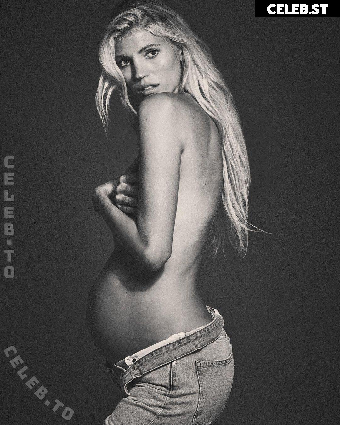 Pregnant Image 27172102