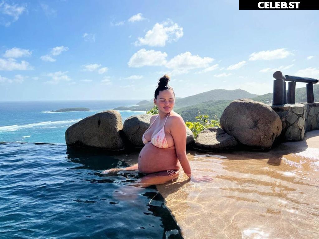 Pregnant Image 27172169