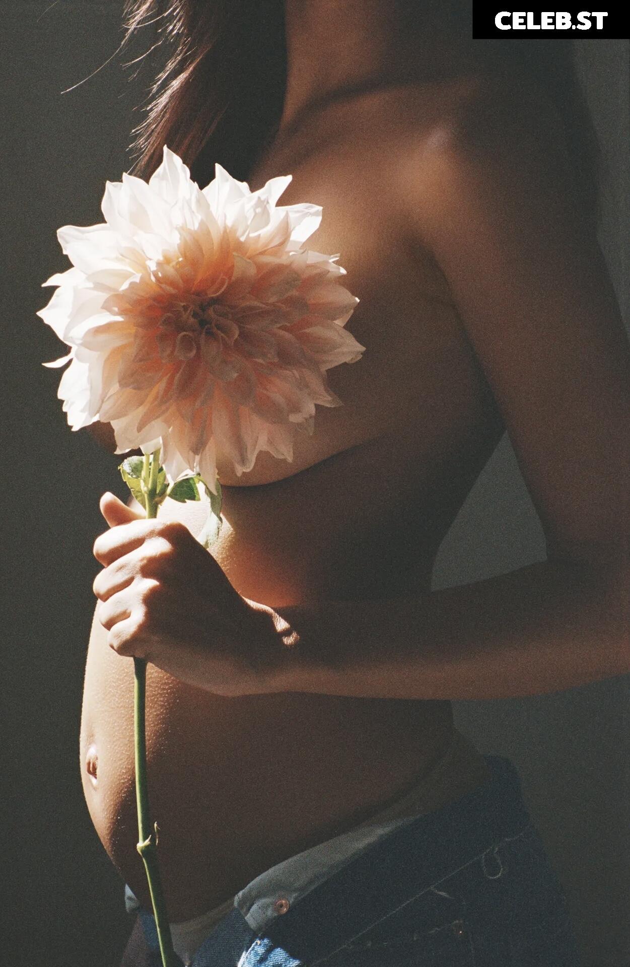 Pregnant Image 27172386