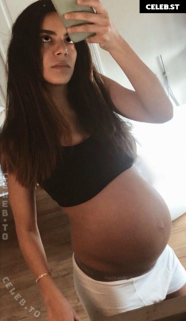 Pregnant Image 27172212