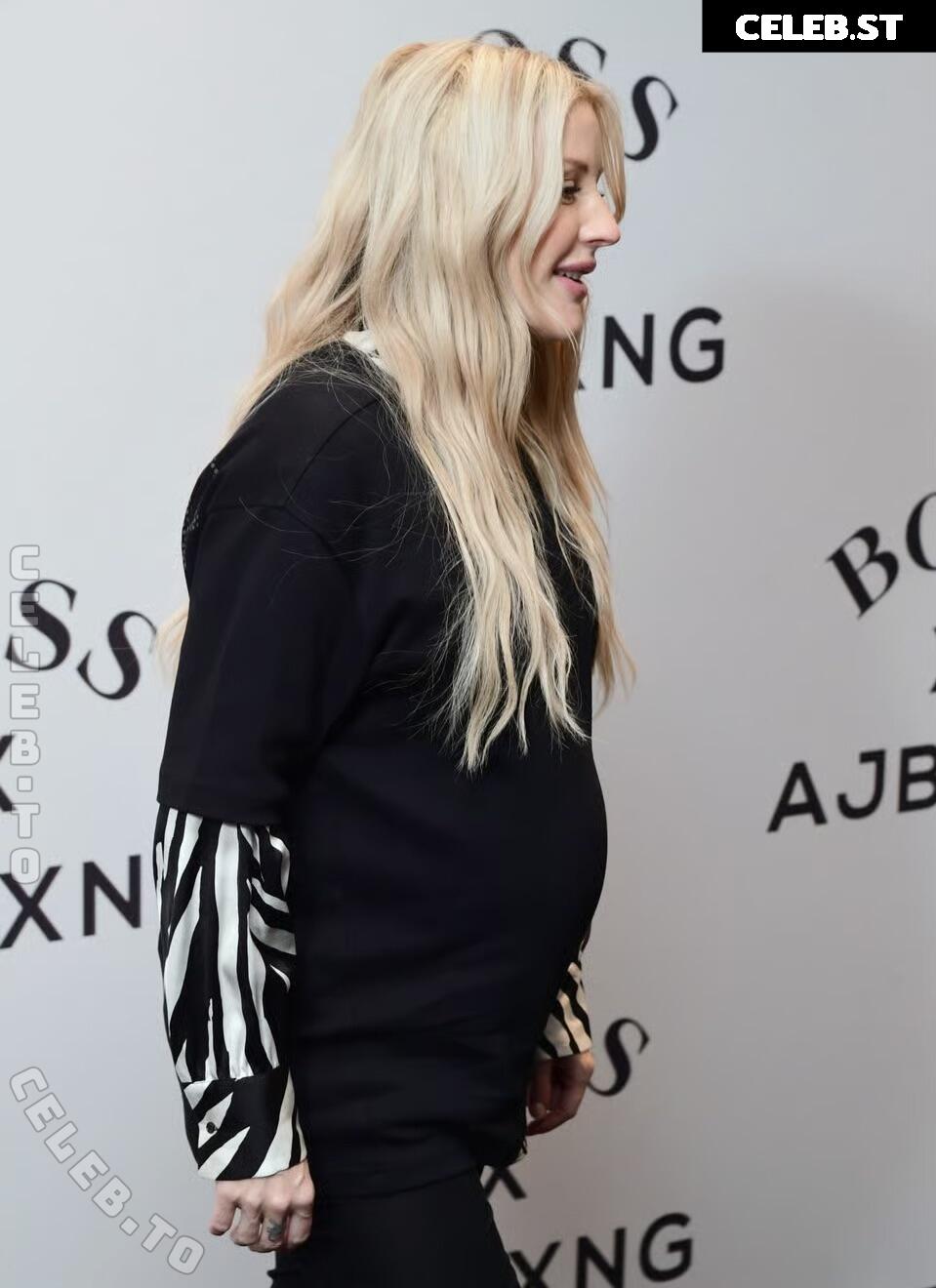 Pregnant Image 27172210