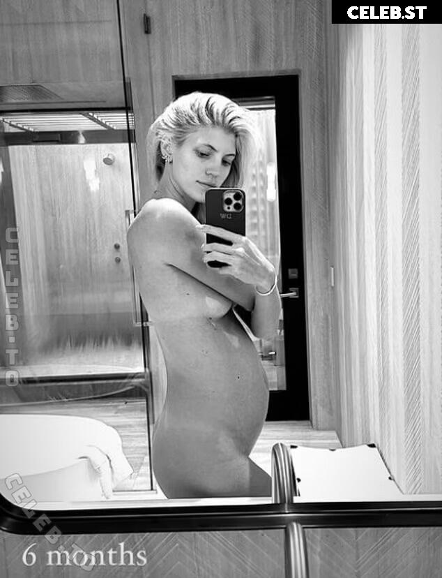 Pregnant Image 27172207
