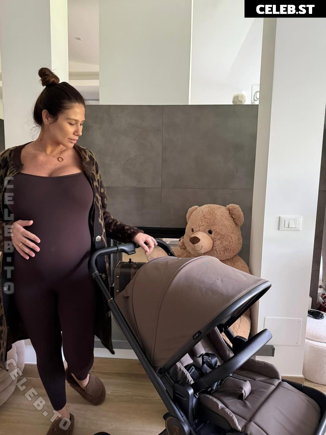 Pregnant Image 27172206