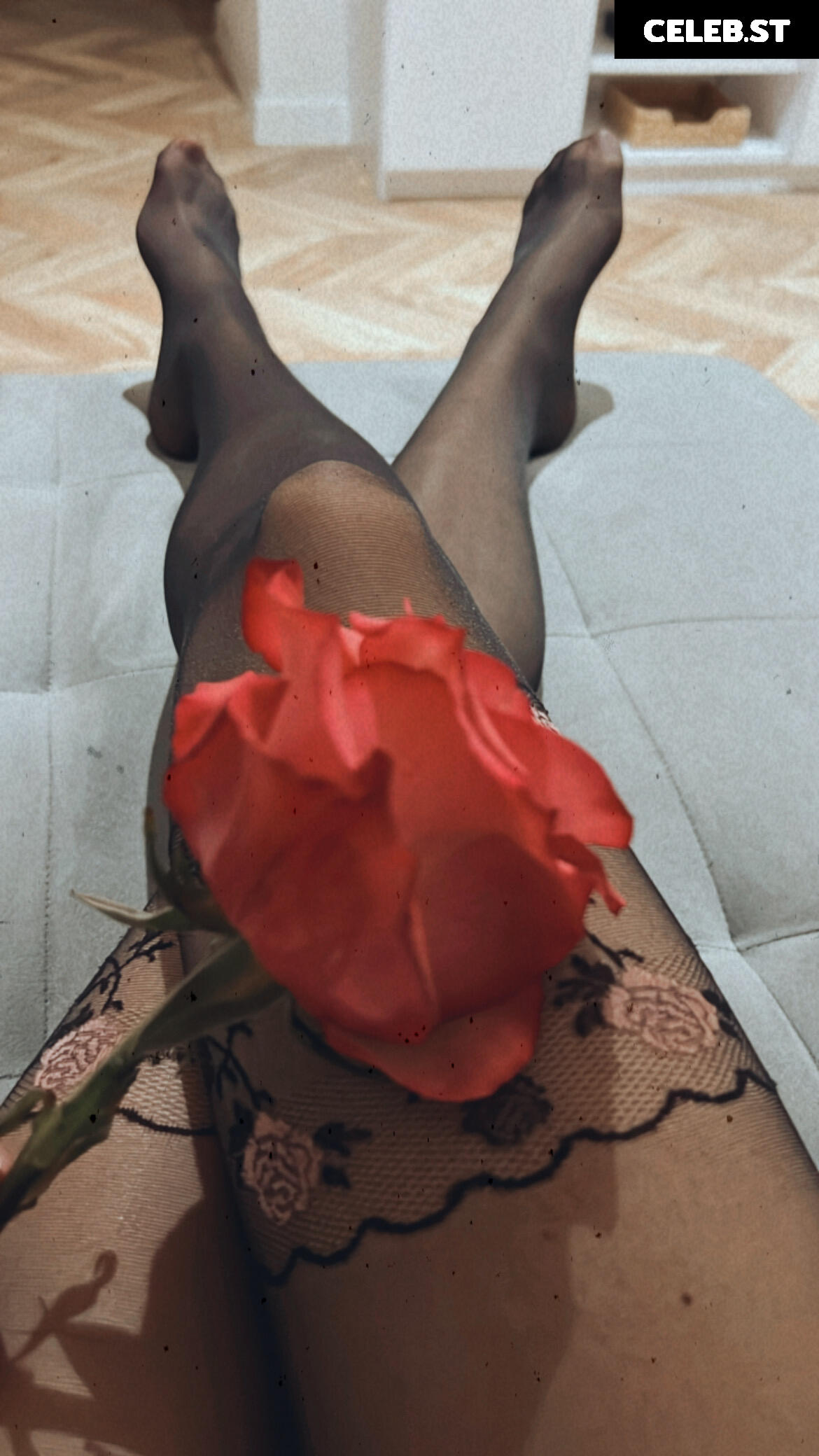 dominikadominica Image 271112