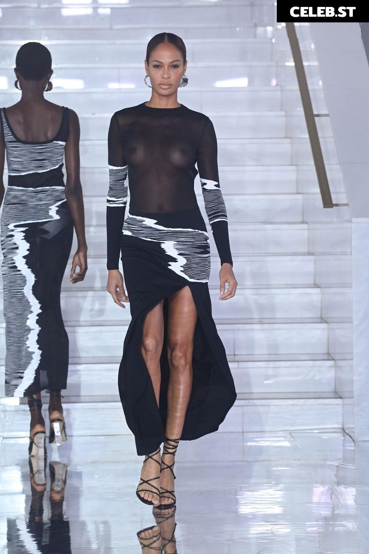 Joan Smalls Image 2713645