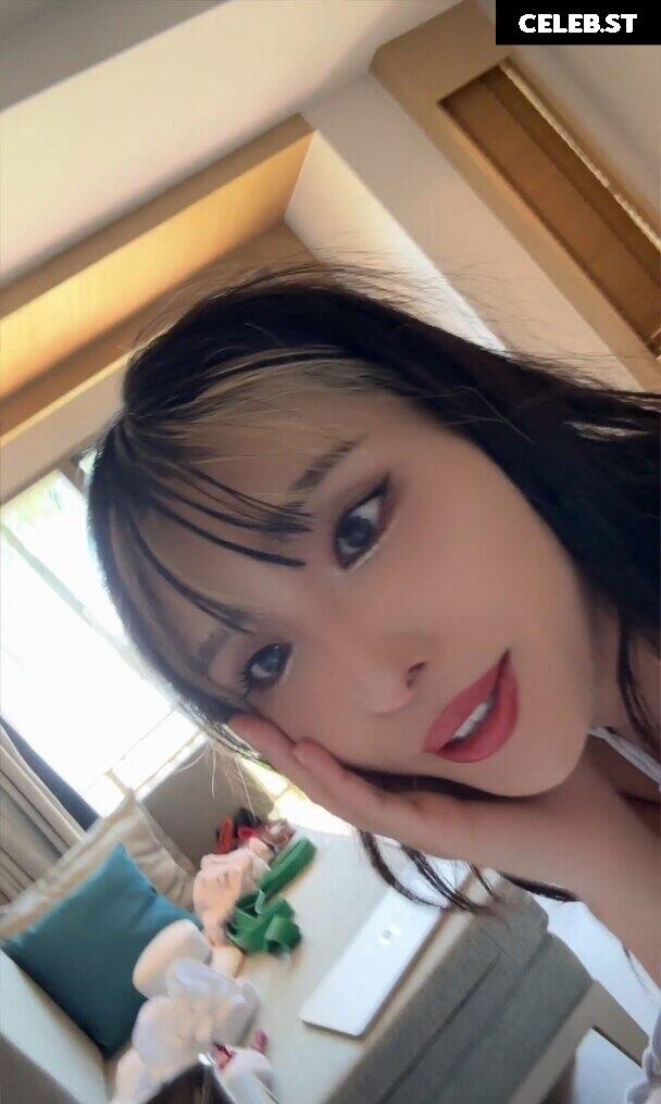 Meowko Image 2710026