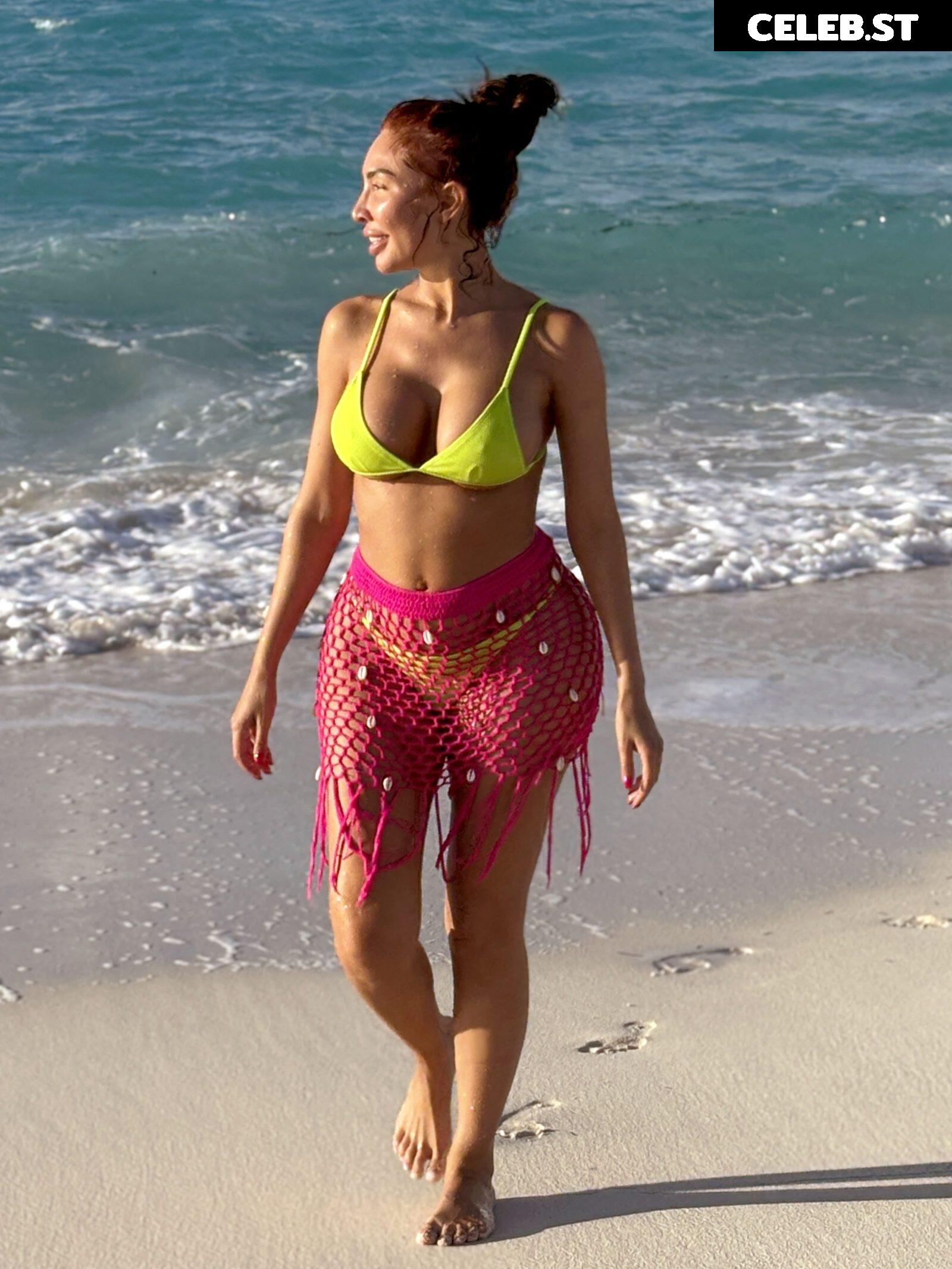 Farrah Abraham Image 2718197