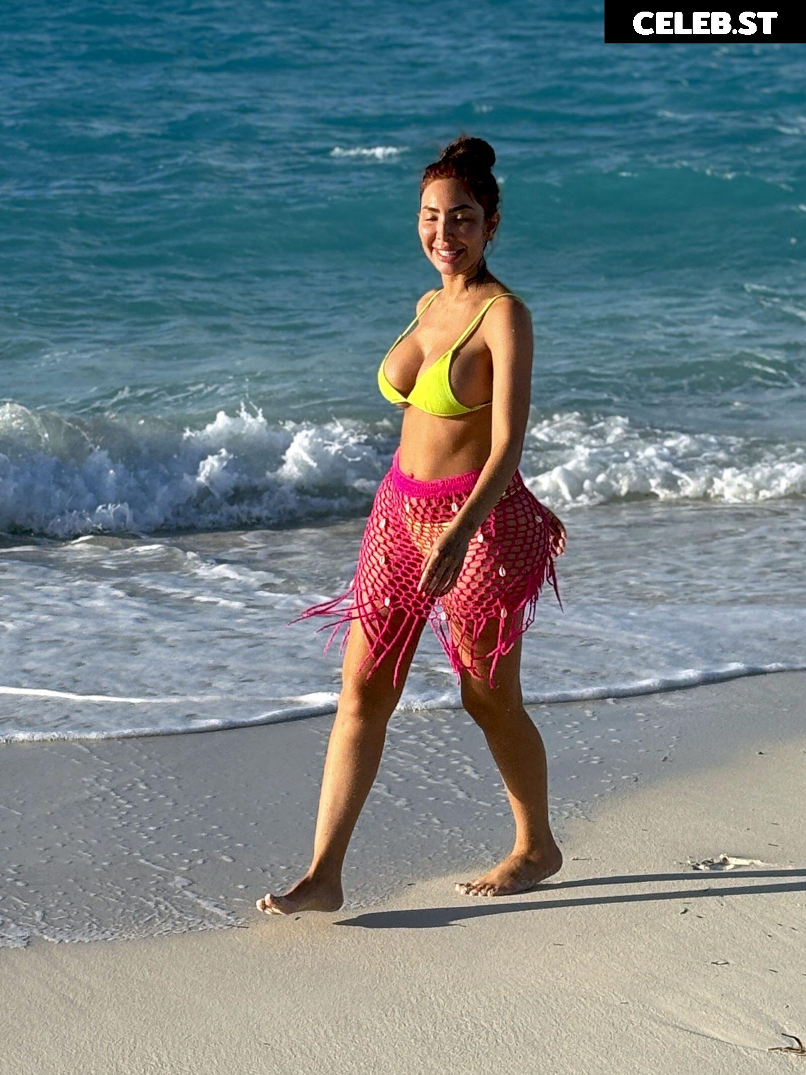 Farrah Abraham Image 2718177