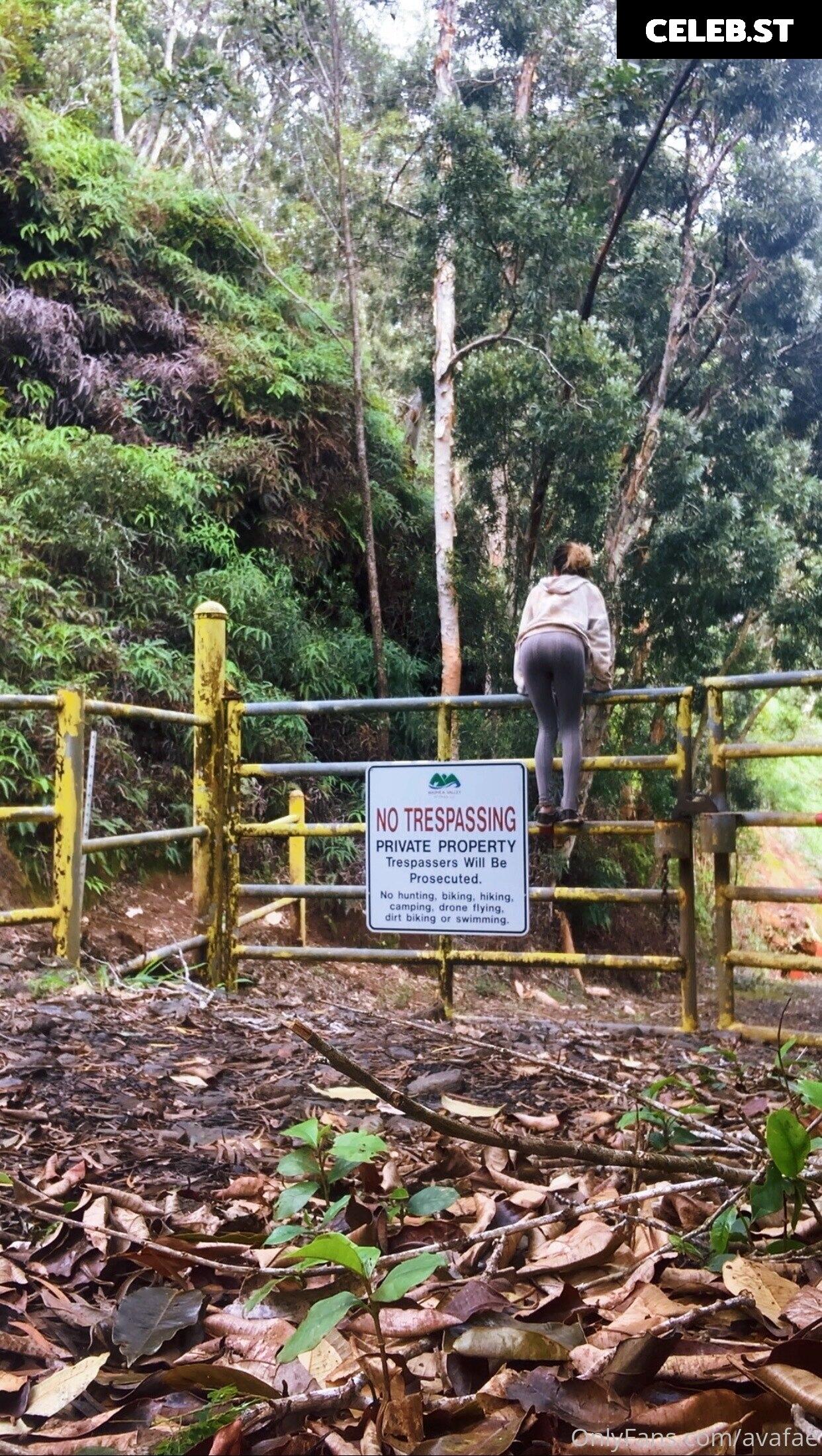 Avafae Image 2705631