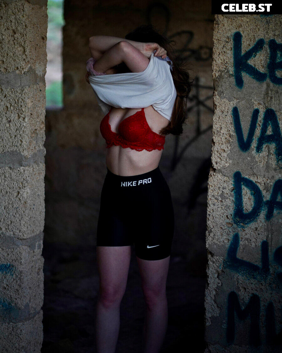 Foxynxdes Image 2705263