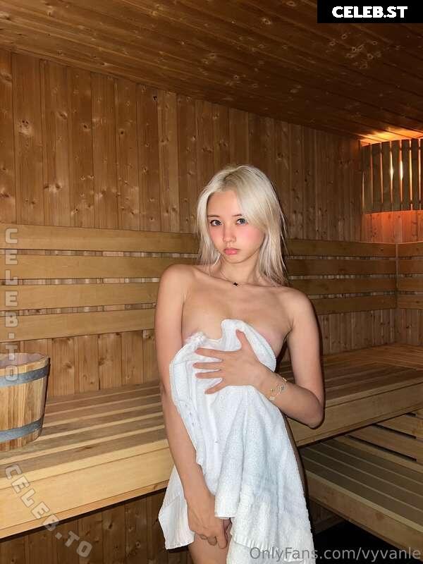 vyvanle Image 27024835