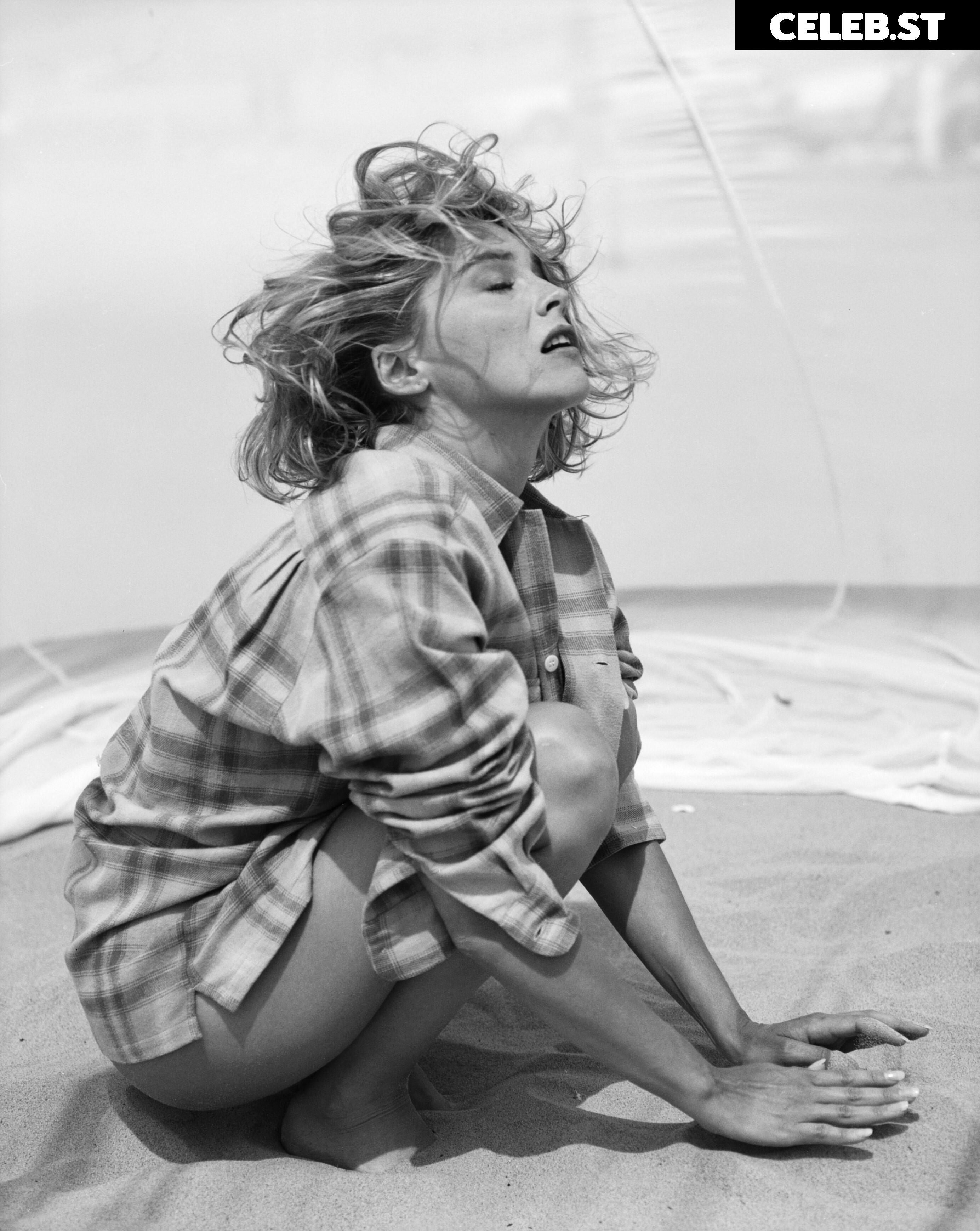 Sharon Stone Image 2702633