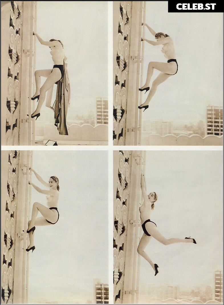 Sharon Stone Image 2702381