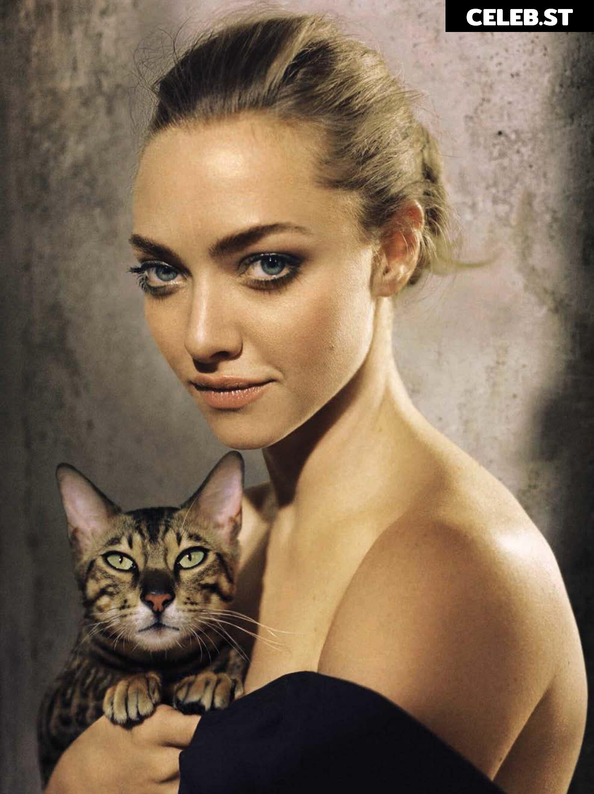 Amanda Seyfried Image 2095947