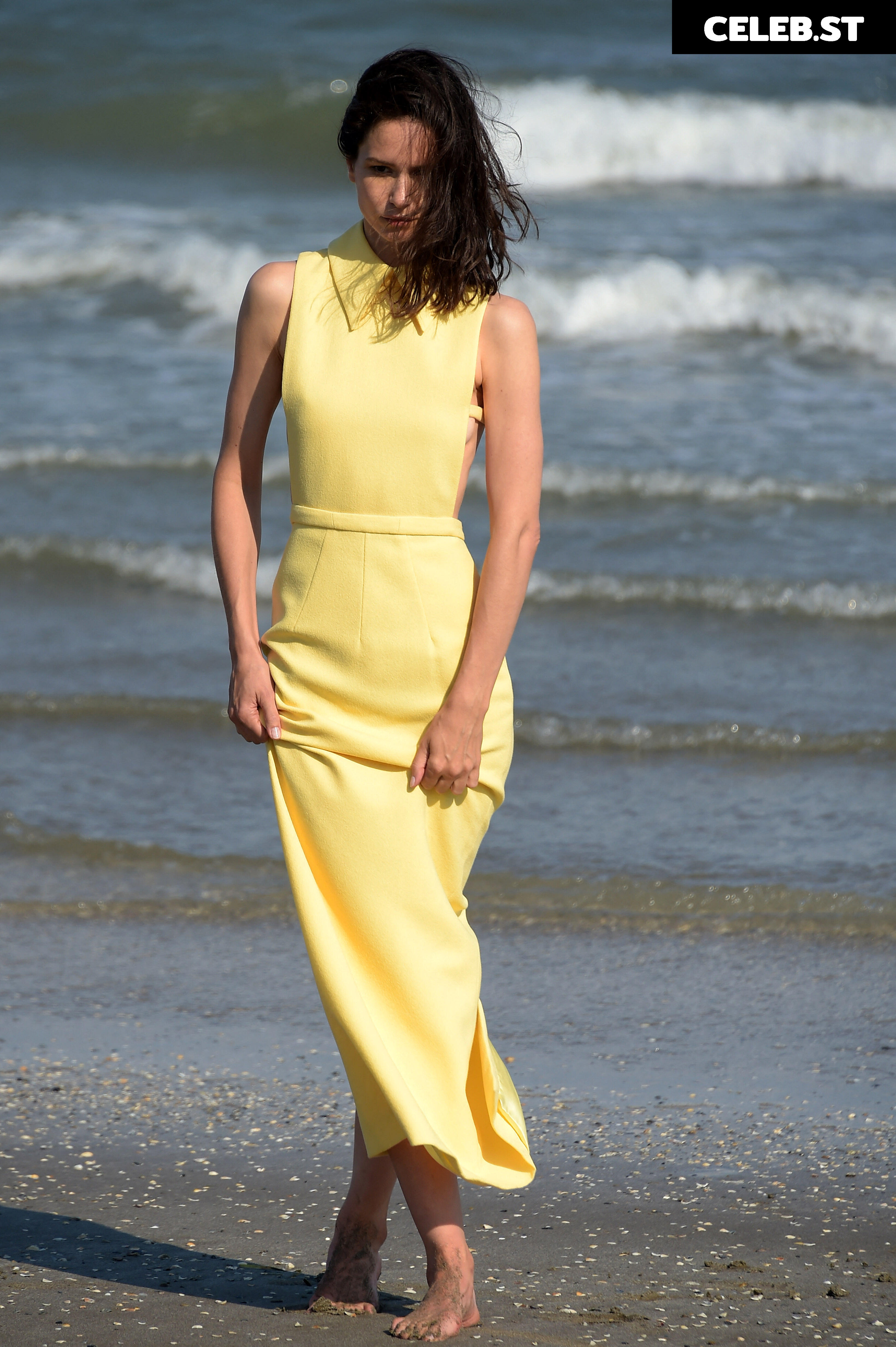 Katherine Waterston Image 2091824