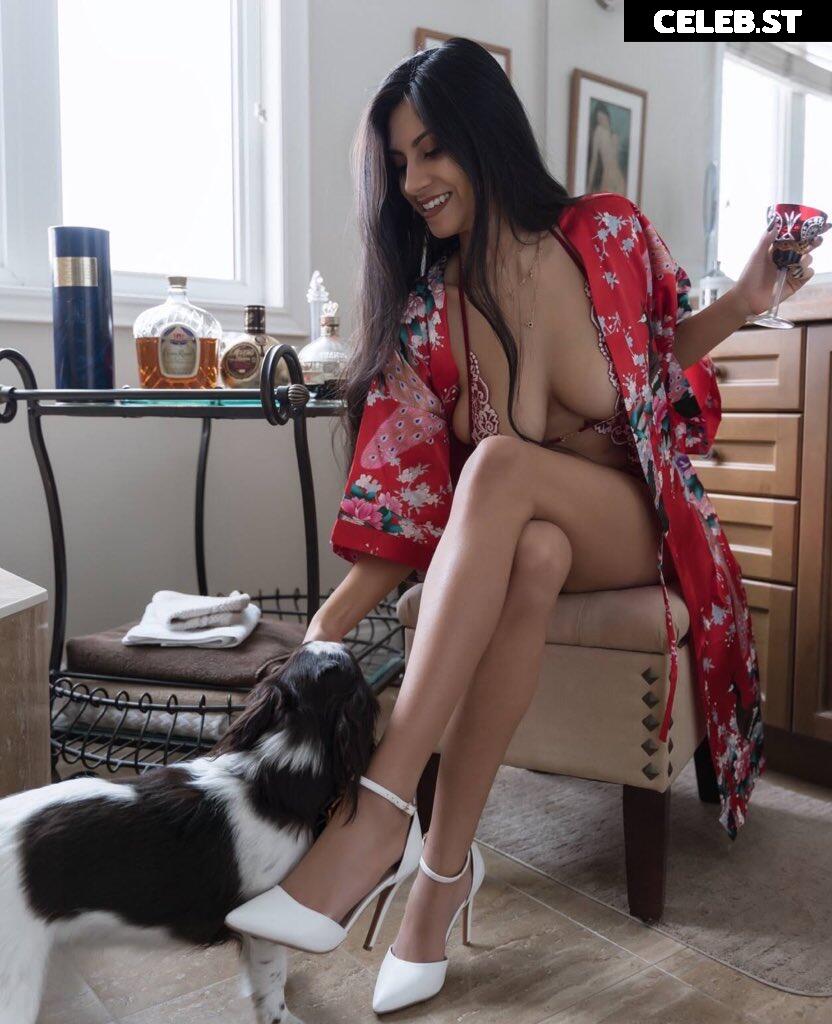 Vanessa Vain (thevixenfiles/bengalivixen) Image 20931071