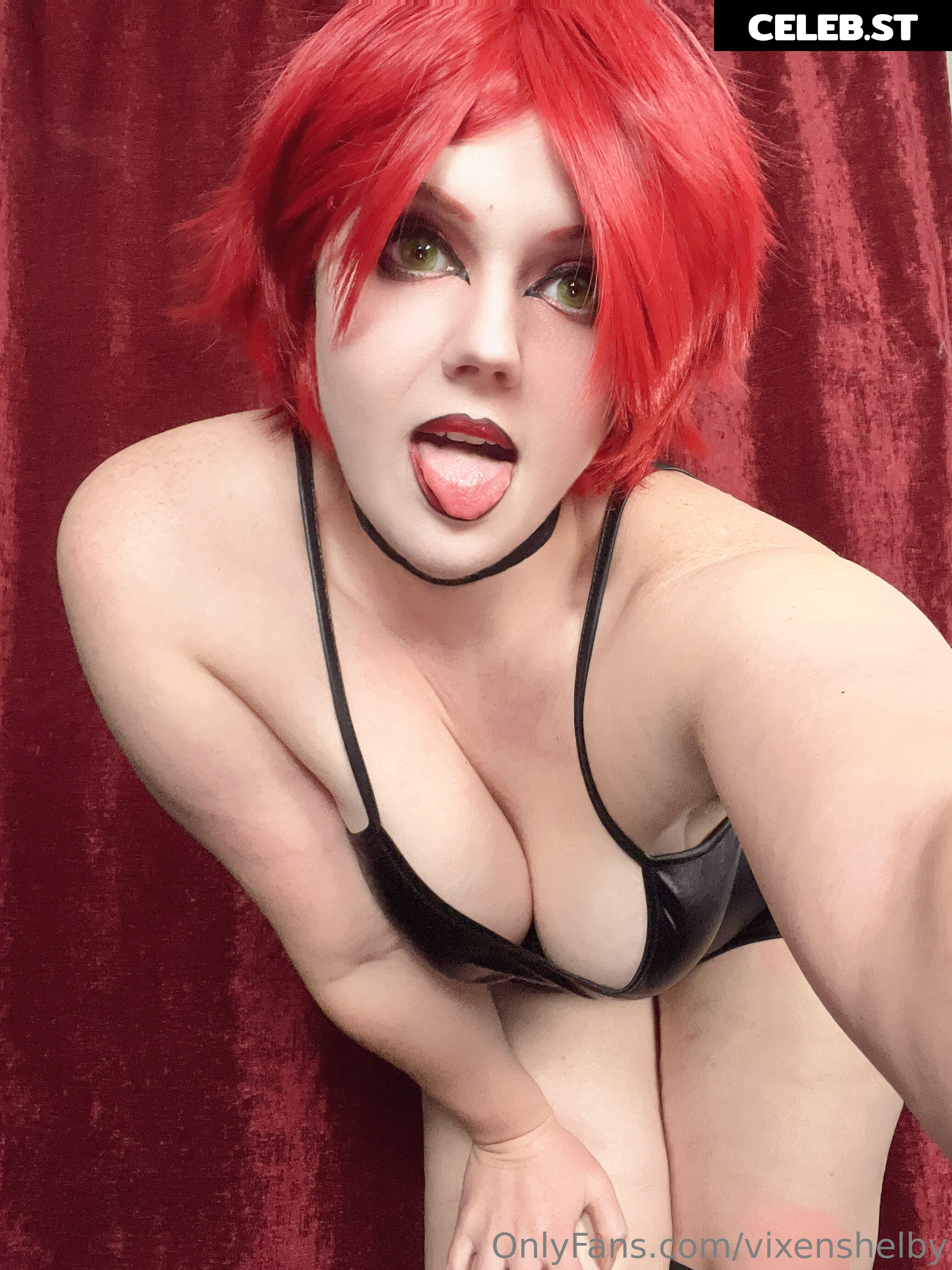 VixenShelby Image 20902828