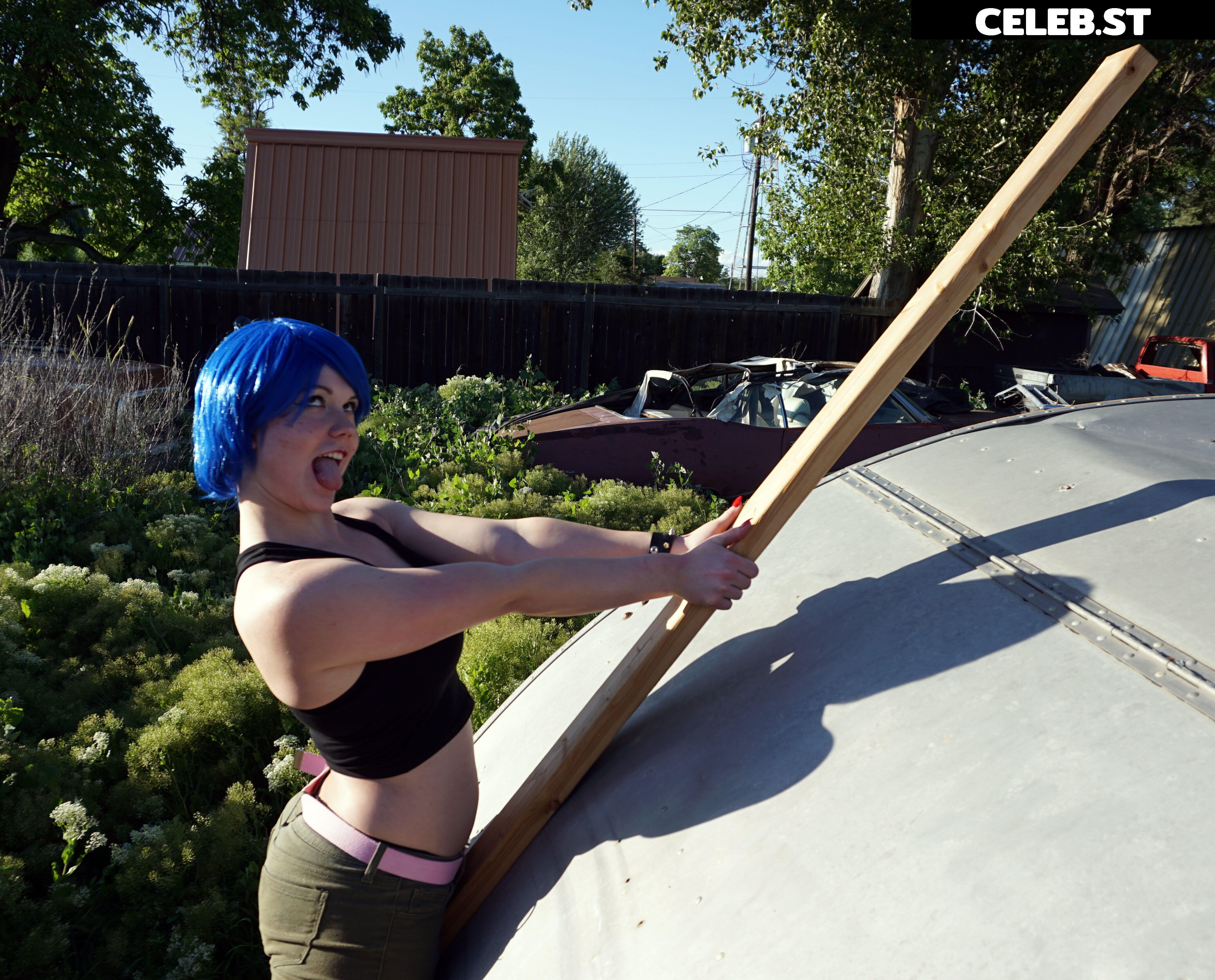 VixenShelby Image 20902653