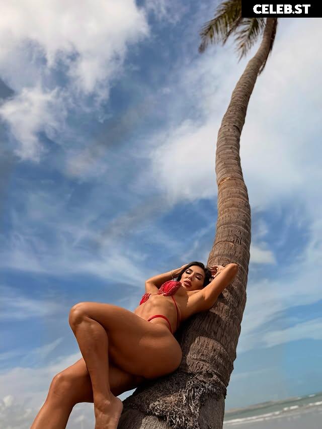 Andrea de Andrade Image 20860721