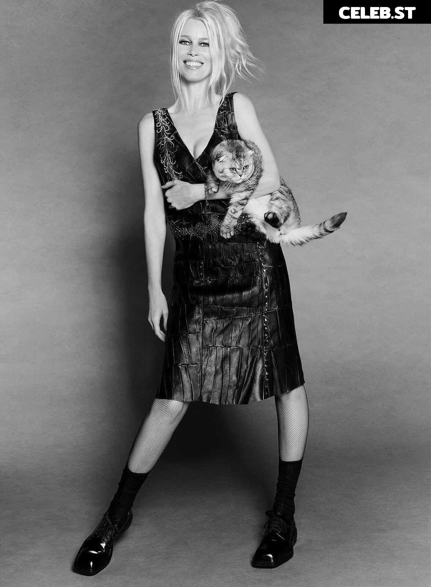 Claudia Schiffer Image 2081641
