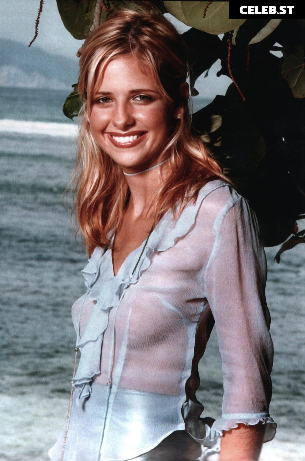 Sarah Michelle Gellar Image 2081285