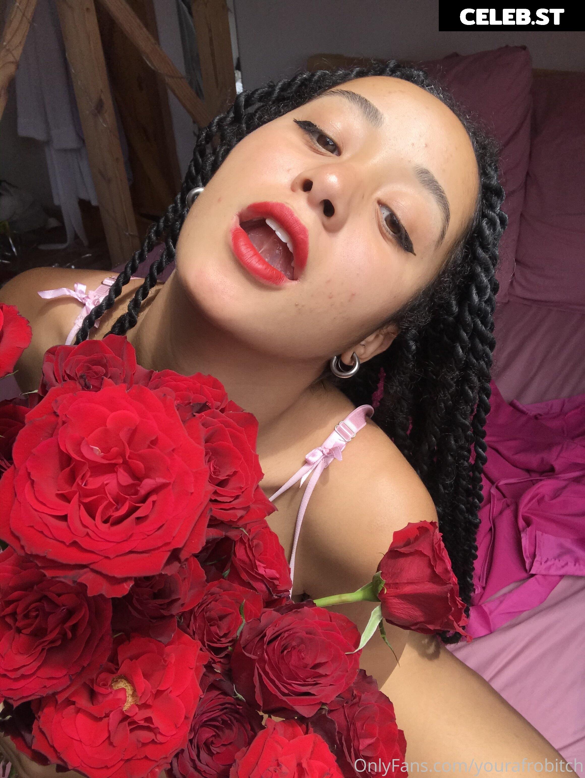 yourafrobitch Image 208214