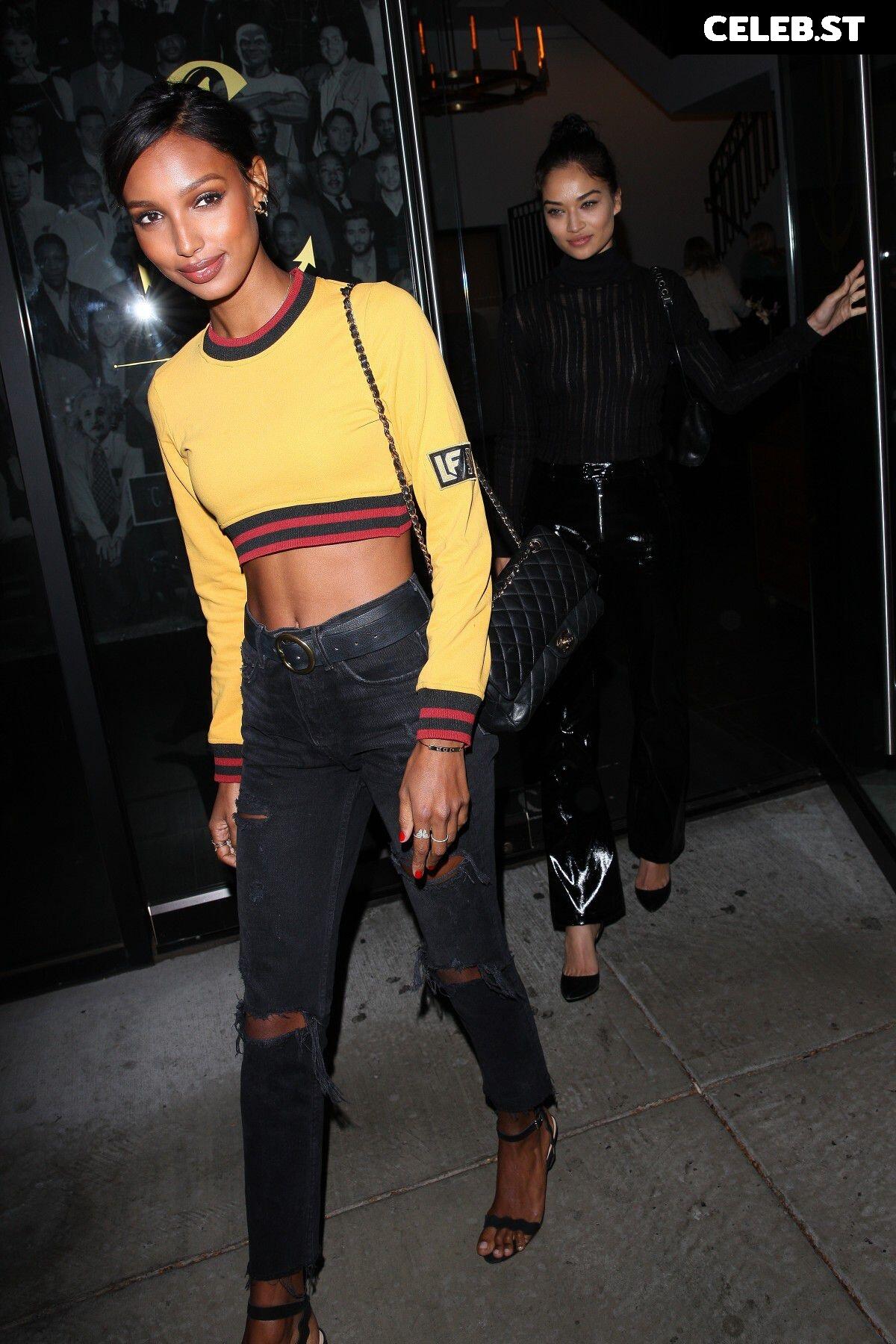 Shanina Shaik Image 2082992