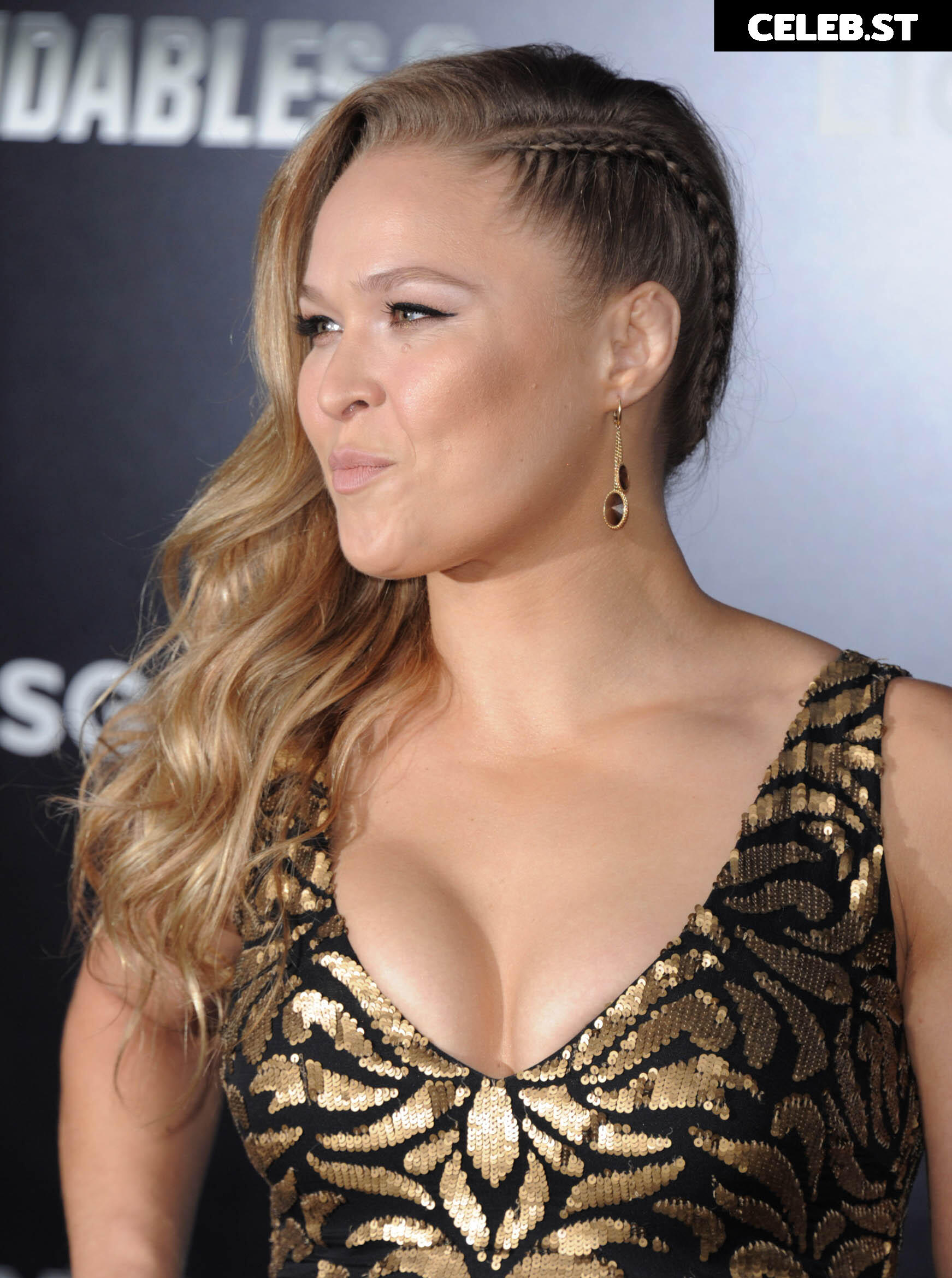 Ronda Rousey Image 2083663