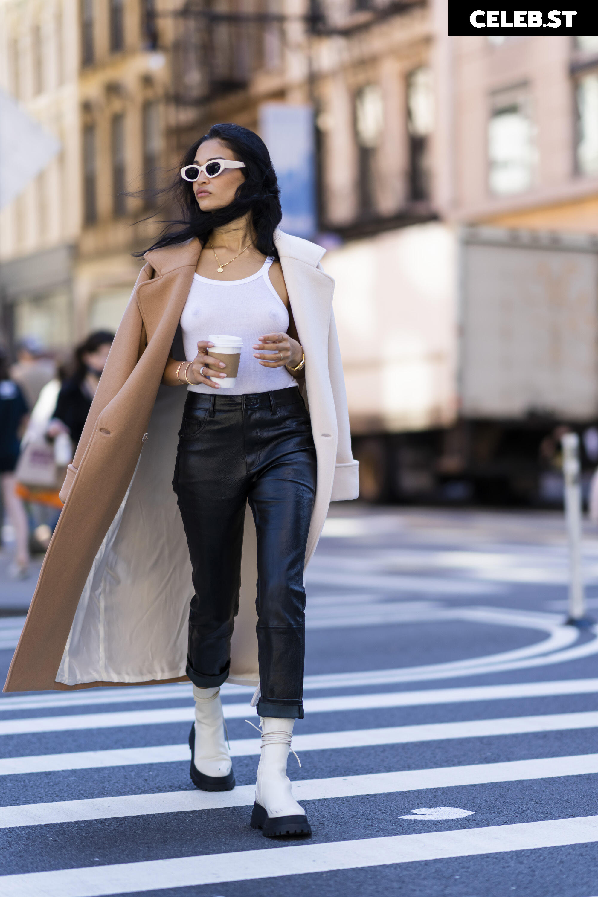 Shanina Shaik Image 2080546