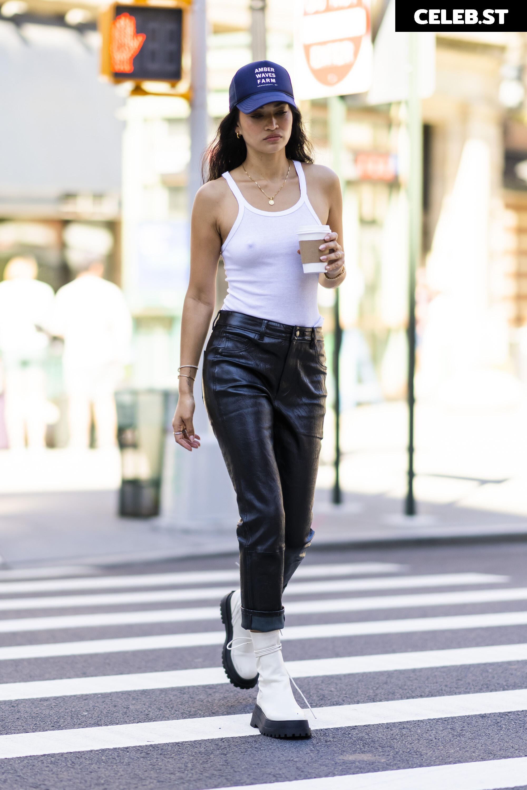 Shanina Shaik Image 2080427